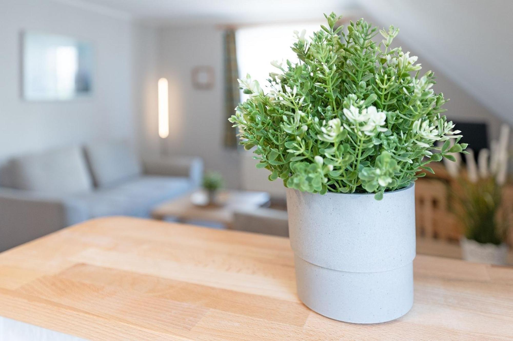 Fahrenkrug Nordlicht Apartman Scharbeutz Kültér fotó